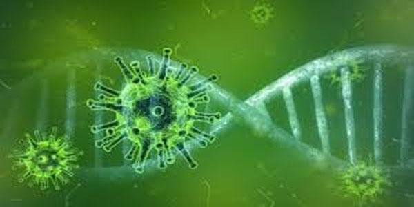 پیدایش، گسترش و پیشگیری از ویروس کرونا